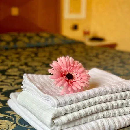 Hotel Vatican Amorim Roma